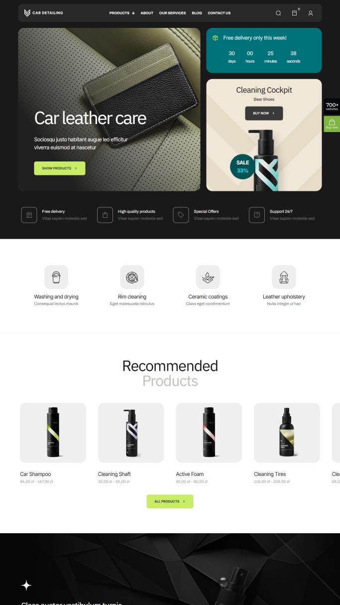 Detailing Shop Template